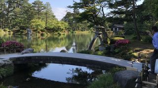 どうせ行くなら時期を考えた方がより楽しめます