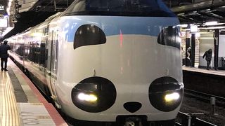 パンダがすっかり馴染んだ