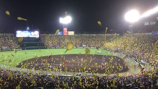 高校野球からプロ野球まで