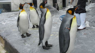 もぐもぐタイム