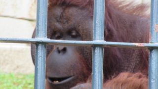 もぐもぐタイム時に