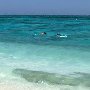 那覇から20分で行ける慶良間諸島の小さな島