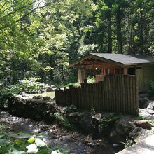 森の中にある露天風呂　混浴です