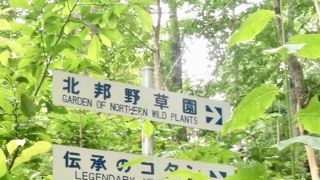 北邦野草園