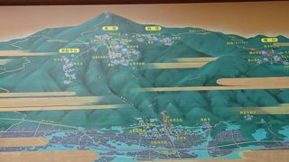 広いのでバス観光で今本中堂だけでした今回は