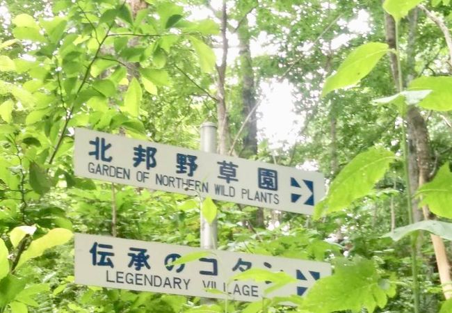 北邦野草園