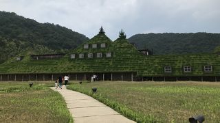 近江八幡に来たらぜひ行きたかったお店です