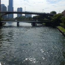 一つ下流の寝屋川橋から見た京橋　下の橋です