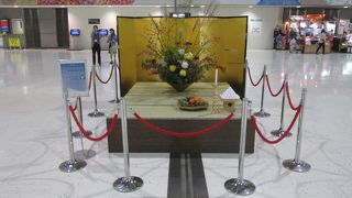 １カ月に２回利用