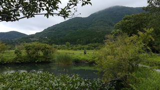 美しい景色とマイナスイオンでリフレッシュ出来る湿生花園