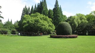 上海中山公園