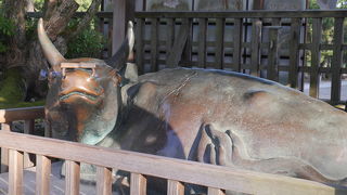 顔テカテカの神馬神牛像