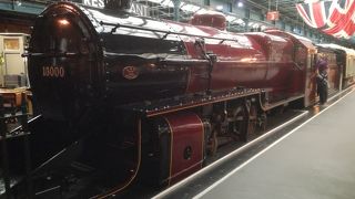 無料で素晴らしいコレクションを楽しめる。雨の日に最適。