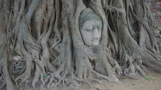 代表的な遺跡です