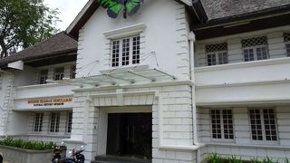 動物のはく製が見られます