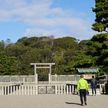 黄緑のウィンドブレーカーを着ている方がボランティアガイドです