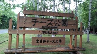 チーズが美味しい