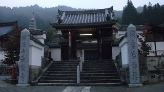 ヤマボウシの紅葉を観ることができました