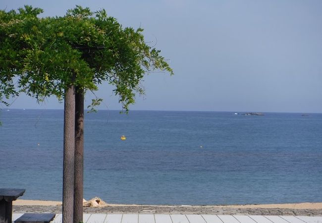 どこか哀しい那智の浜