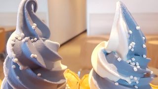 ユキちゃんに会いに