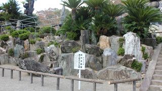 力強さを感じる枯山水蓬莱庭園