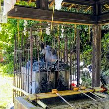 手水舎の波の上にもウサギが…