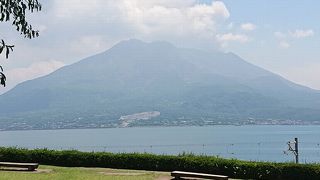 桜島を望む