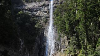 マイナスイオン！