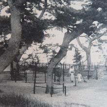 昭和初期の鼓ケ浦海水浴場／当時発行の絵はがき