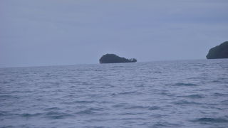 クジラ島