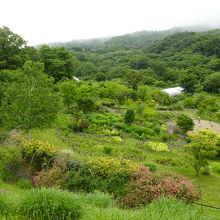 庭園上からの風景
