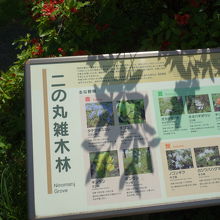 二の丸雑木林の案内