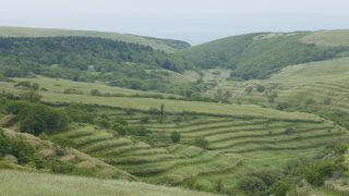 美しい稜線です