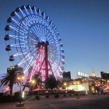 黄昏の大観覧車