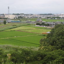 忍城が遠くに見えます