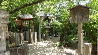 パワーをいただきました