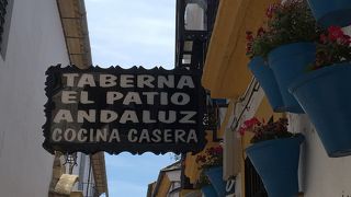 タパス料理に大満足しました