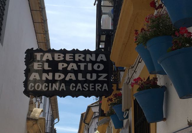 タパス料理に大満足しました