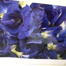 バタフライピーの花