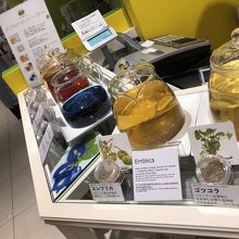 ハーブティーが試飲できます！