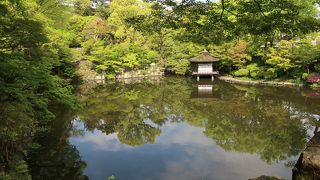 美しい日本庭園