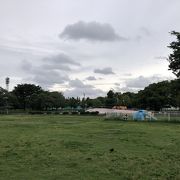 広々とした公園です