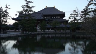 奈良の大仏さま