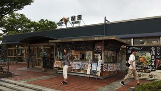 ドックランも完備