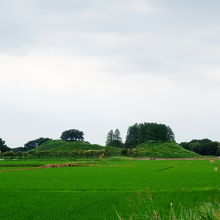 サイクリングロードからの眺め