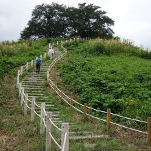 お散歩コースとして使っている方も