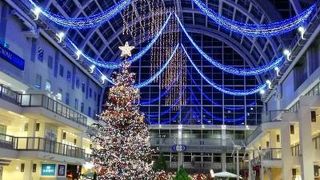 クリスマスツリーとビール