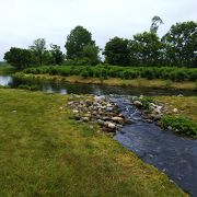 川に沿った風景がすてき