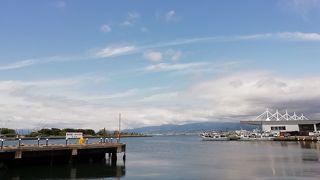 函館山を海から