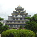 黒が凛々しい岡山城